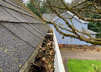 Seattle Gutter Cleaners AA Window and Gutter Cleaning