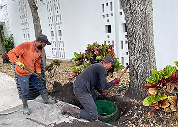 Fort Lauderdale Septic Tank Services Alligator Septic