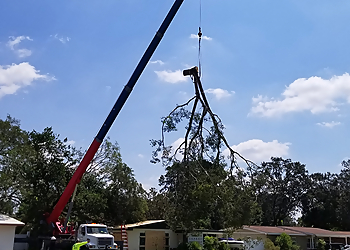 St Petersburg Tree Services ABC 1-2-Tree Inc.