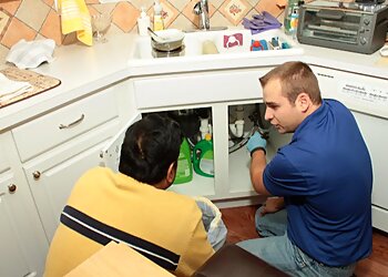 Chicago Animal Removal ABC Humane Wildlife Control and Prevention Inc.