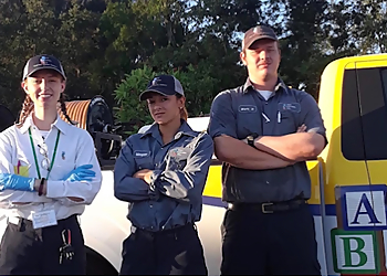 St Petersburg Pest Control Companies ABC Pest Control, Inc.