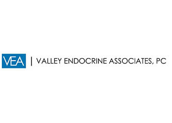Mesa Endocrinologists Abdul-Razzak Alamir, MD, FACE - VALLEY ENDOCRINE ASSOCIATES, PC