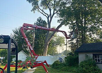 Warren Tree Services ABK Tree Services