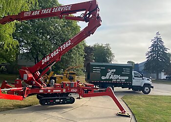 Warren Tree Services ABK Tree Services