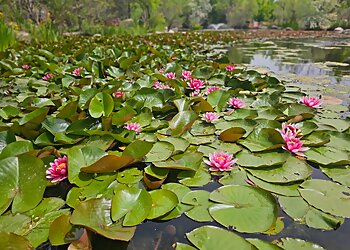 Albuquerque Places To See ABQ BioPark Botanic Garden