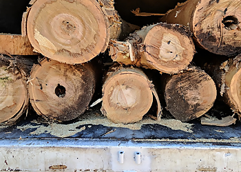 Salinas Tree Services A B Tree Service