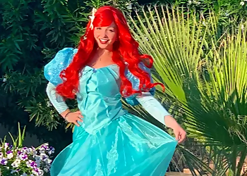 Phoenix Face Painting A Better Party