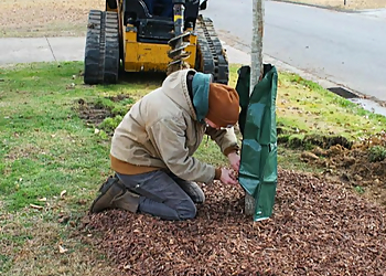 Birmingham Tree Services ACE Tree Service
