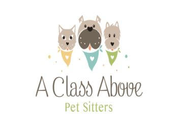 A Class Above Pet Sitters