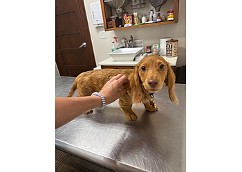 Wilmington Veterinary Clinics A Country Veterinary Clinic