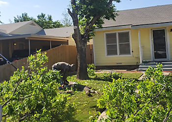 Abilene Tree Services A Cutt Above Tree Service