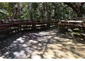 3 Best Hiking Trails in Miami, FL - Expert Recommendations
