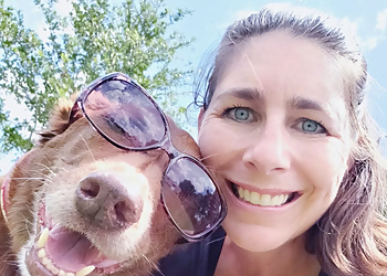 A Dog's Best Friend A Dog's Best Friend - Pearland, TX Pet Grooming - Professional Highlights