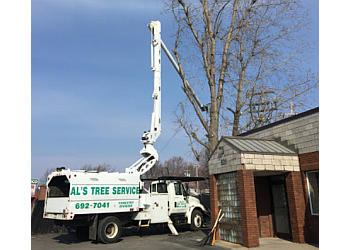 Buffalo tree service AL'S TREE SERVICE 