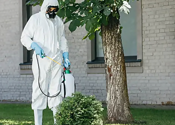 Pueblo Pest Control Companies A&M Pest and Termite Control