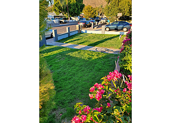 Phoenix Lawn Care Services AMS Landscaping