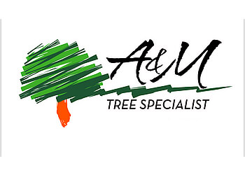 A&M Tree Specialist Orange Tree Services