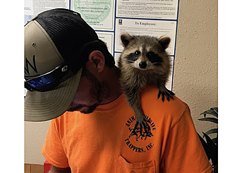 Orlando Animal Removal Animal Wildlife Trappers, INC.
