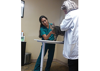 APC Veterinary - Broken Arrow, OK Veterinary Clinics - Doctor With Patient Image