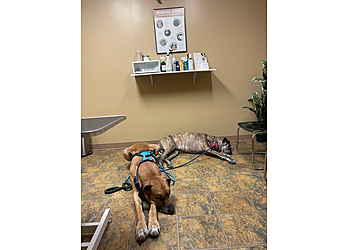 APC Veterinary APC Veterinary - Broken Arrow, OK Veterinary Clinics - Service Highlights