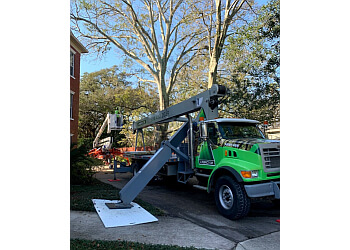 A Perfect Cut Tree Service New Orleans Tree Services