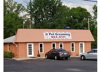 3 Best Pet Grooming in Louisville, KY - Expert Recommendations