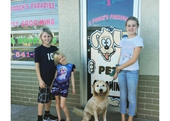dog grooming cape coral fl dog grooming cape coral fl