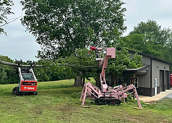 Clarksville Tree Services A Premier Tree Service