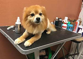 Garland Pet Grooming A Purr-Fect Dog Grooming & Day Care