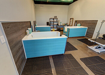 3 Best Pet Grooming in Chattanooga, TN - Expert Recommendations