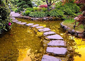 Miami Landscaping Companies AR Landscape Design