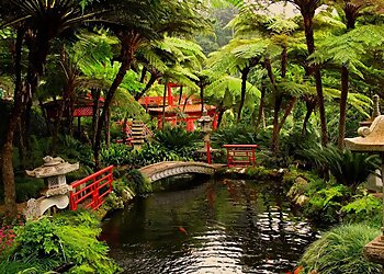 Miami Landscaping Companies AR Landscape Design