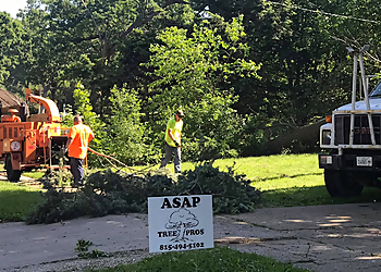 ASAP Tree Pros, Inc. - Rockford, IL Tree Services - Team Working Image