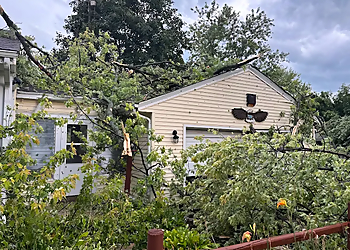 ASAP Tree Pros, Inc. ASAP Tree Pros, Inc. - Rockford, IL Tree Services - Residential Service Image