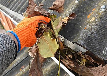 San Francisco Gutter Cleaners ASF Clean Team