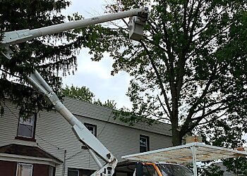 Cleveland Tree Services A&S Tree Service, LLC