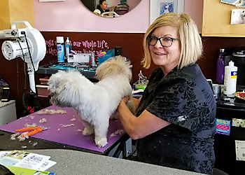 Torrance Pet Grooming A Shear Pleasure Pet Salon