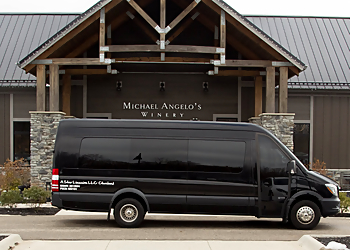 A Star Transportation A Star Transportation - Cleveland, OH Limo Service - Van Image