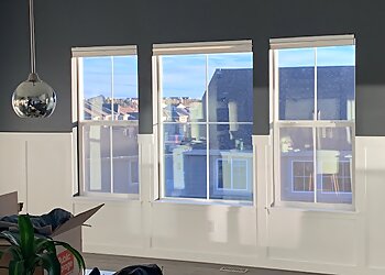 Aurora Painters A State of Paint