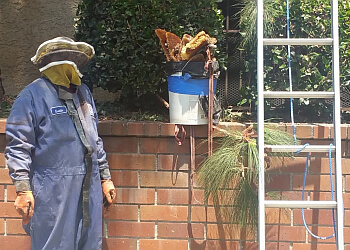 A Step Above Pest Control and Termite
