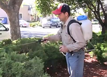 San Francisco Pest Control Companies ATCO Pest Control San Francisco