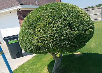 Midland Tree Services AV Lawn & Tree Care Services
