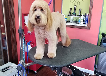 3 Best Pet Grooming in St Louis, MO - Expert Recommendations