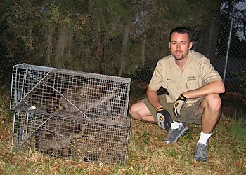 A Wildlife Pro Seattle Animal Removal image 1