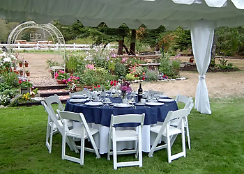 AZ Discount Party Rentals - Chandler, AZ Event Rental Companies - Field Work Image