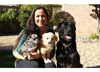Phoenix dog walker AZ Mama Bear Pet Care
