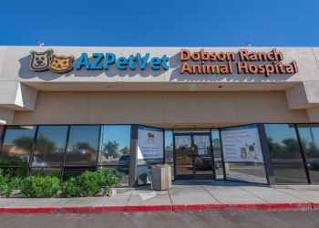 Dobson Ranch Animal Hospital & Grooming Mesa Veterinary Clinics