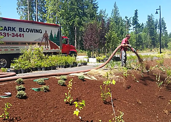 Tacoma Landscaping Companies Aardvark Bark