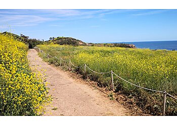Torrance Hiking Trails Abalone Cove Shoreline Park