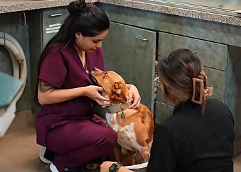 Fresno Veterinary Clinics Abby Pet Hospital